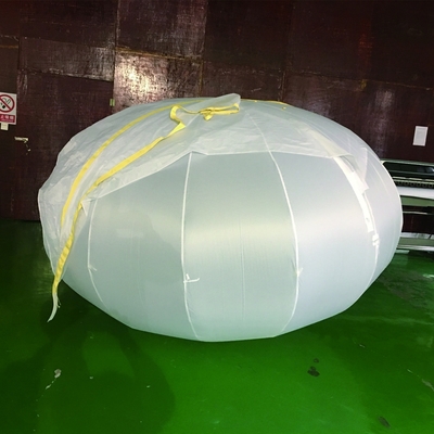 Ballon gonflable géant de couleur pour la plage / ballon gonflable en PVC à vendre